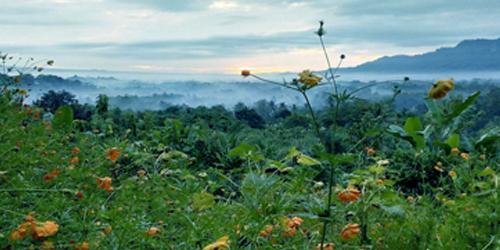 Borobudur Sunrise Hill Viewpoint